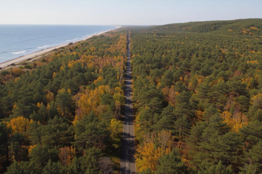 Лучшие фото Куршской косы: Калининградская область в кадре