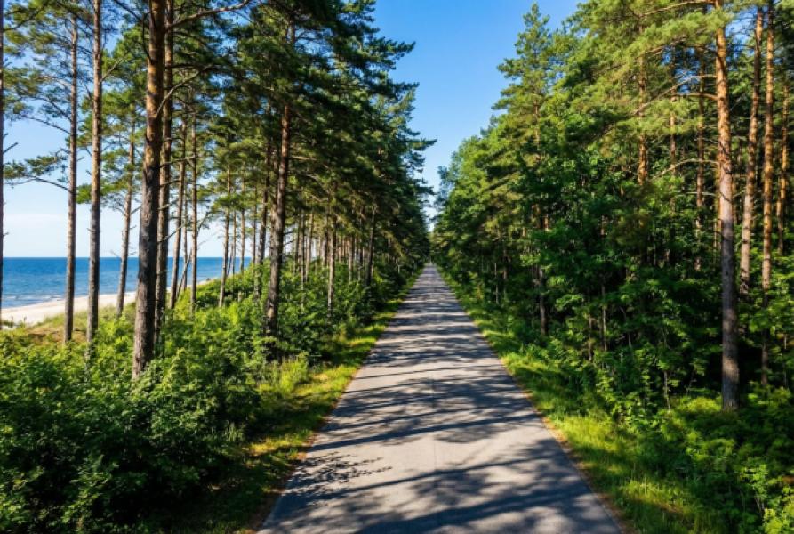 Лучшие фото Куршской косы: Калининградская область в кадре