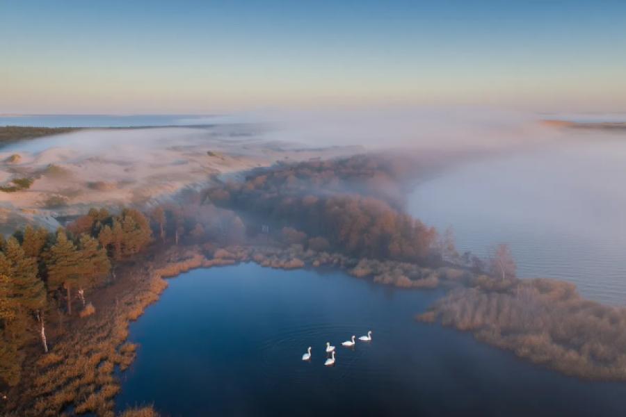 Лучшие фото Куршской косы: Калининградская область в кадре