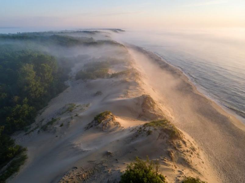 Лучшие фото Куршской косы: Калининградская область в кадре