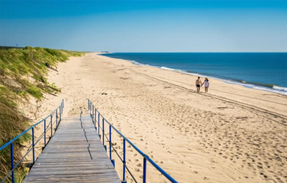 Лучшие фото Куршской косы: Калининградская область в кадре