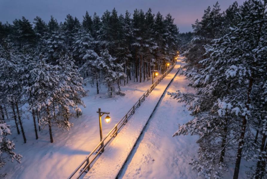 Лучшие фото Куршской косы: Калининградская область в кадре