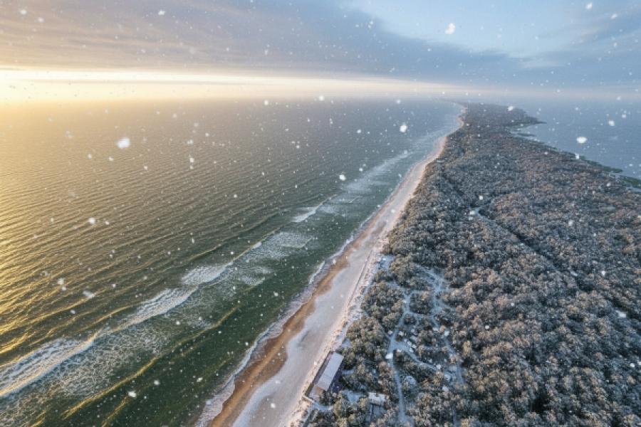 Лучшие фото Куршской косы: Калининградская область в кадре